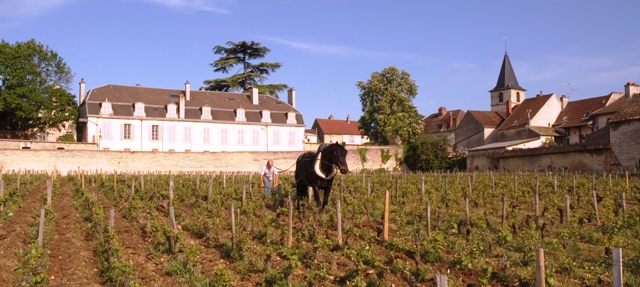 Domaine Liger-Belair, na Bourgogne: tratores banidos