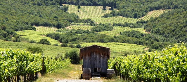 Galinheiro móvel da Emiliana, Chile