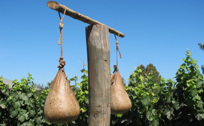 Flores de aquiléia em bexigas de veado