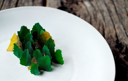 Tartar de cervo - Foto Araceli Paz